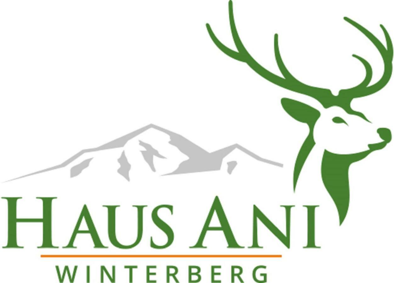 Vila Haus Ani Winterberg Exteriér fotografie