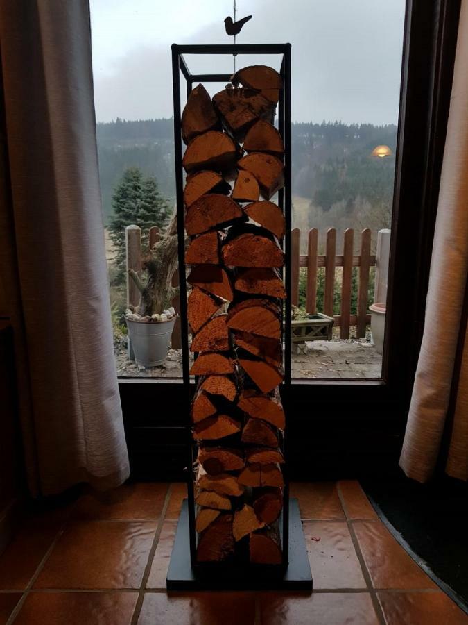 Vila Haus Ani Winterberg Exteriér fotografie