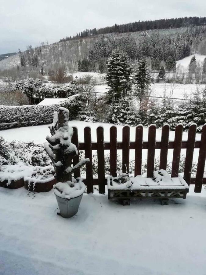Vila Haus Ani Winterberg Exteriér fotografie
