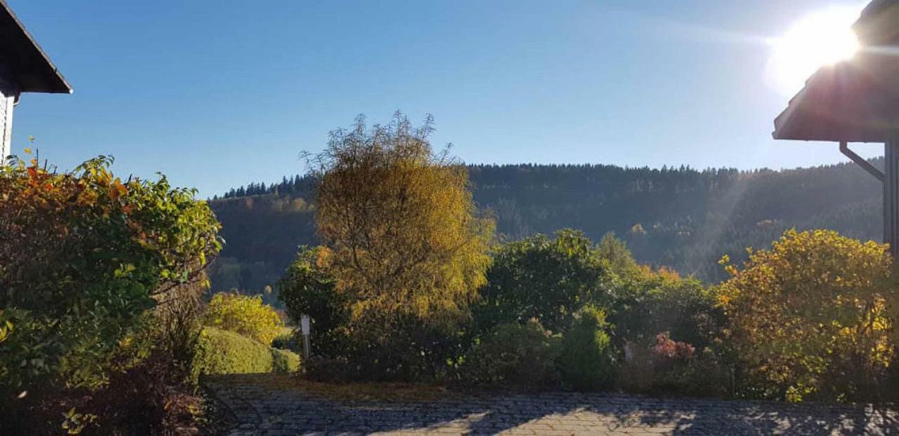 Vila Haus Ani Winterberg Exteriér fotografie